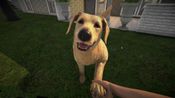 Pets Hotel (PC) Steam Key EUROPE