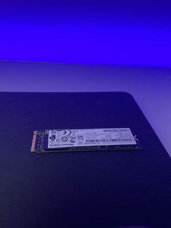 Buy western digital 256 gb NVMe