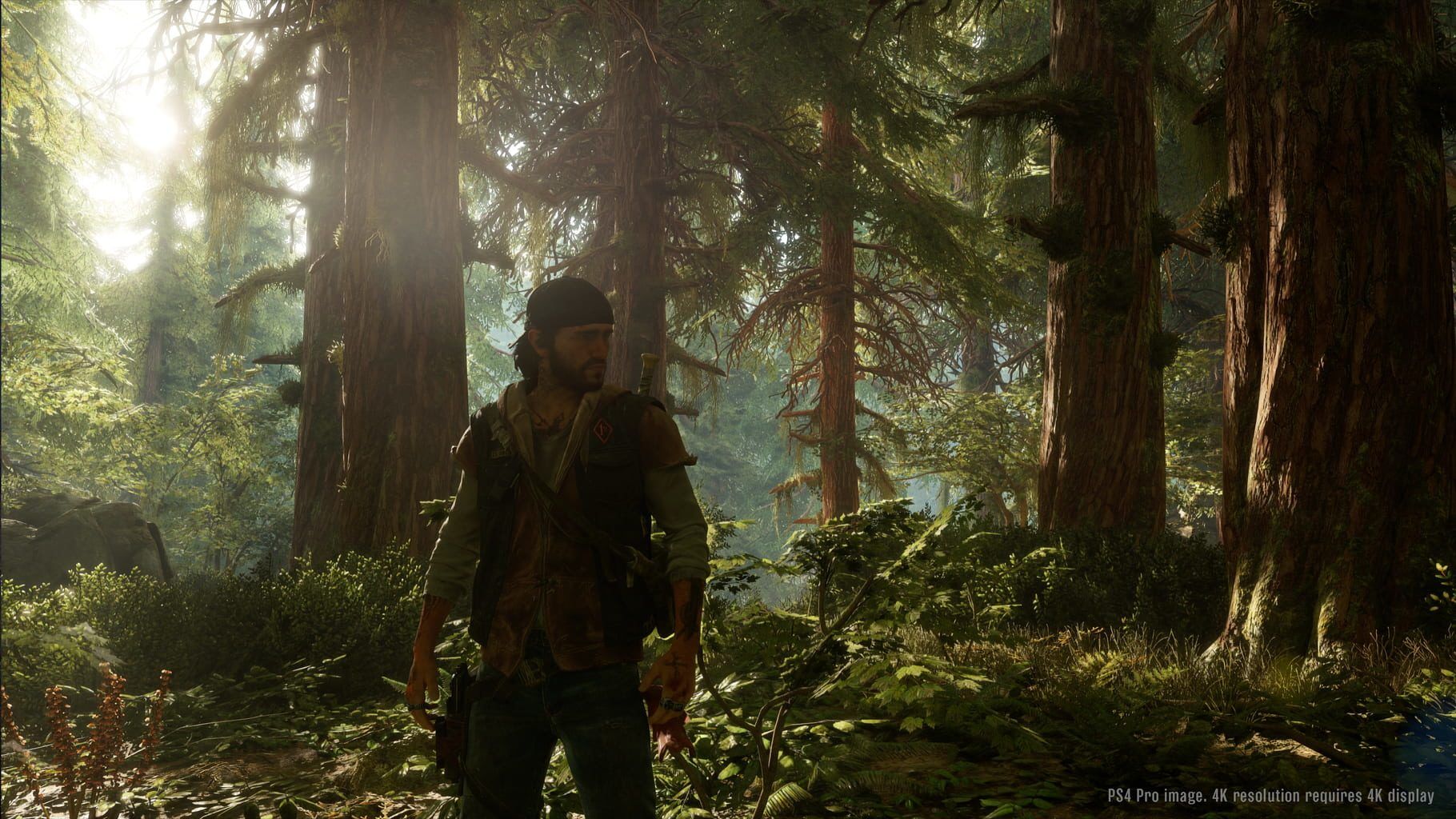 Days Gone Steam képernyőkép