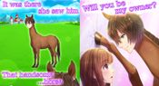 Buy My Horse Prince