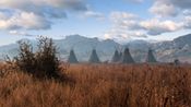 This Land Is My Land (PC) Steam Key GLOBAL