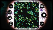 Bacteria Steam Key GLOBAL for sale