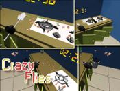 Buy Crazy Flies