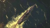 Victory At Sea Pacific Steam Key GLOBAL