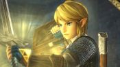Hyrule Warriors Wii U for sale