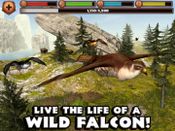 Redeem Falcon Simulator