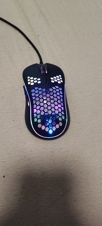 SR7 Pelė