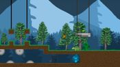Buy Night Forest