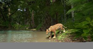Amazon Odyssey