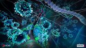 InCell VR