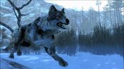 Cabela's Dangerous Hunts 2013 + Cabela's Hunting Expeditions Steam Key GLOBAL for sale