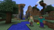 Buy Minecraft: Wii U Edition