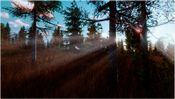 Awesome Metal Detecting (PC) Steam Key GLOBAL