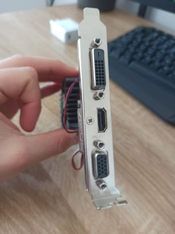 Asus r7 240 2gb