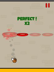 Redeem Flappy Dunk