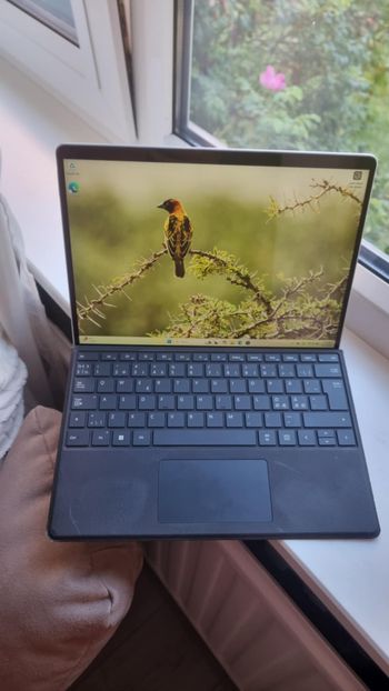 Buy Surface Pro 8