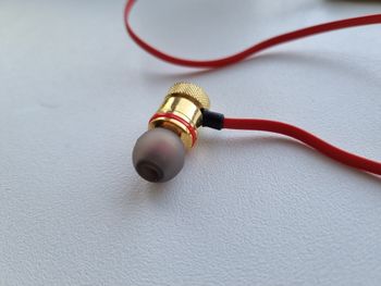 Buy Belaides ausines