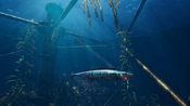 Buy Freediving Hunter: Spearfishing the World XBOX LIVE Key GLOBAL
