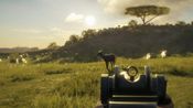 theHunter: Call of the Wild - Smoking Barrels Weapon Pack (DLC) (PC) Steam Key EUROPE