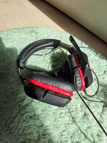 Laidines gaming ausines