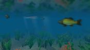 Buy European Fishing (PC) Steam Key GLOBAL
