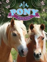 Pony Friends Nintendo DS