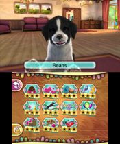 Pet Inn 3D