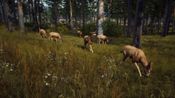 Way of the Hunter Elite Edition (Xbox Series X|S) Xbox Live Key UNITED STATES