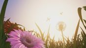 Buy Insects: An Xbox One X Enhanced Experience