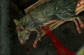 Buy Bad Mojo Redux (PC) Steam Key GLOBAL