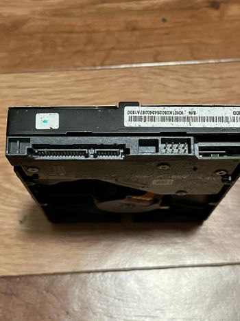 WD 1000GB 3.5 hardas