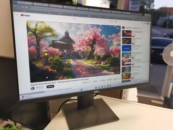 Dell P2419h 24" coliai horizontalus-vertikalus monitorius