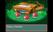 Buy Pokémon Omega Ruby Steelbook Edition Nintendo 3DS