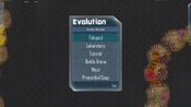 Evolution