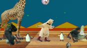 Disco Bear