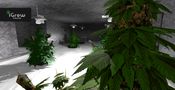 Get iGrow Game Steam Key GLOBAL