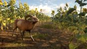 theHunter: Call of the Wild - Cuatro Colinas Game Reserve (DLC) (PC) Steam Key GLOBAL for sale