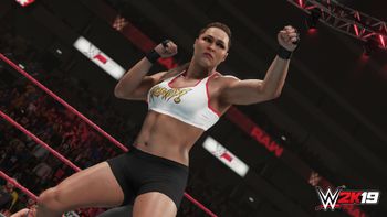 WWE 2K19 PlayStation 4