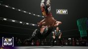 Buy AEW: Fight Forever - Elite Edition (PC) Steam Key GLOBAL