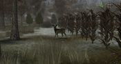 Buy Whitetail Challenge