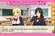 Moe! Ninja Girls