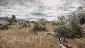 Zulu Response