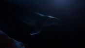 Beyond Blue Steam Key GLOBAL for sale