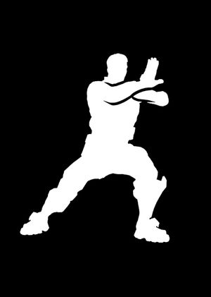 Fortnite - Tai Chi Emote (DLC) Epic Games Key GLOBAL