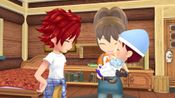 Get STORY OF SEASONS: A Wonderful Life (PC) Steam Key EUROPE
