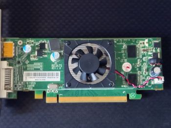 Radeon HD6450 DVI+DP PCIe Tarjeta de Video