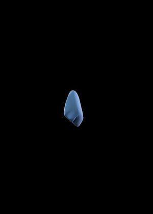 Fortnite - Shark Fin Back Bling (DLC) Epic Games Key GLOBAL