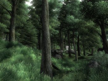 Buy The Elder Scrolls IV: Oblivion Xbox 360