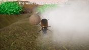 Dung Beetle for sale