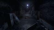 Roots of Insanity Steam Key GLOBAL